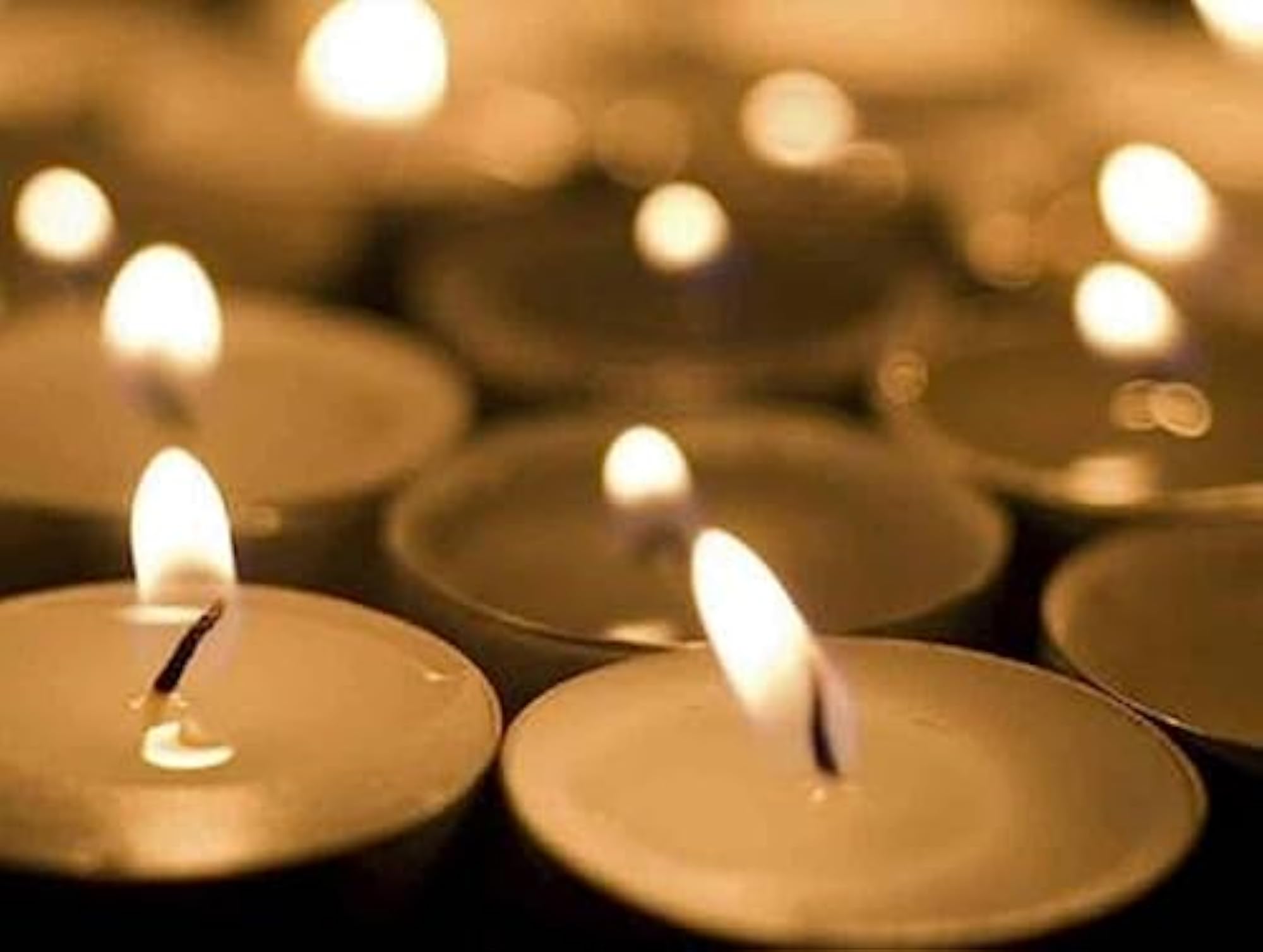 Unscented White Tealight Candles, 50 Pack for Events